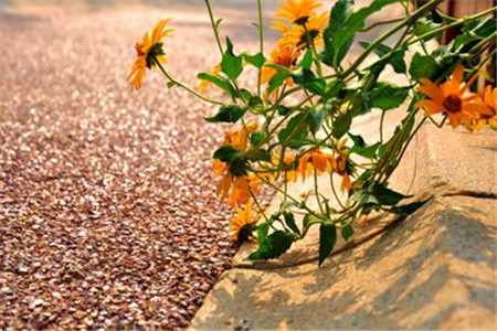 基础差必看!云南自考大学语文答题技巧