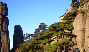 云南自考毕业生可以考研吗?