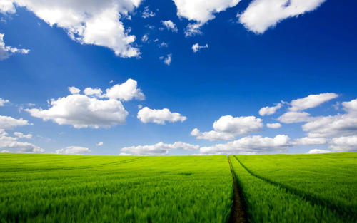 云南自考复习有窍门吗?