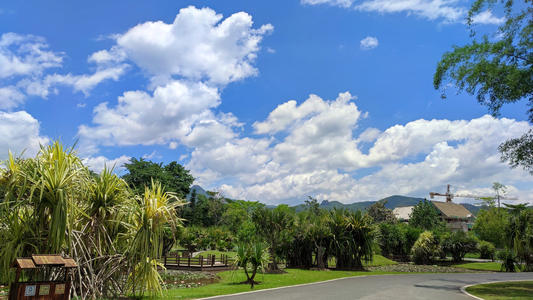 云南自考全日制与统招全日制的区别?