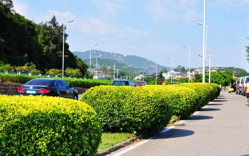 云南自考学习技巧五个重点分别是?