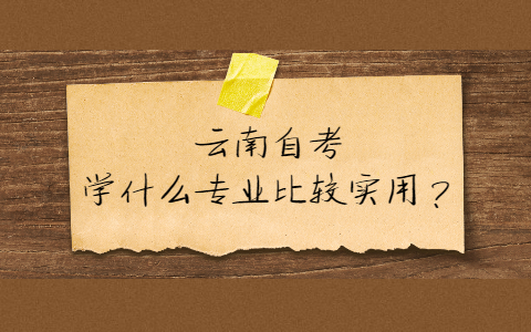 云南自考 学 什么专业比较实用？
