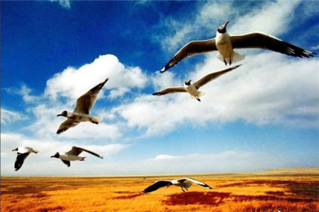 云南自考复习小妙招，答题技巧你get到了吗