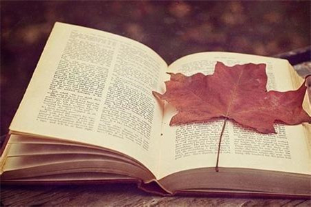 云南自学考试本科需要什么条件