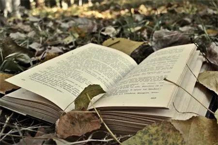 自考 云南自考 自考毕业证