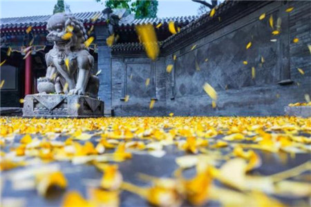 云南2019年10月自学考试成绩查询时间