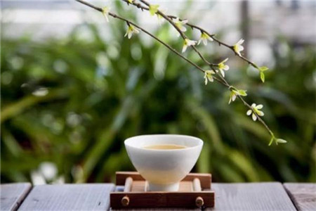 云南自学考试“专接本”报考对象和报考条件是什么?