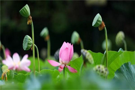 参加云南自学考试从报名到毕业要经过哪些流程?