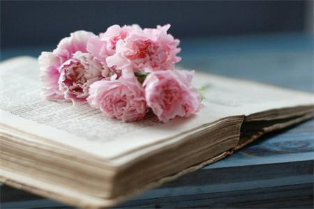 必看!你想知道的自考拿高分技巧在这里!