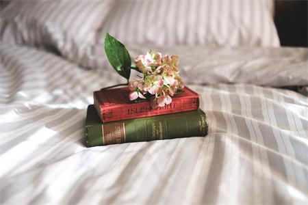 2020年没高中学历能自考吗?自考专科还是自考本科?