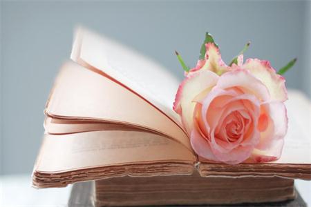 2019年自考《行政管理学》练习题及答案(第1章)