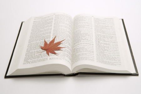 2019年自考《行政管理学》练习题及答案(第五章)