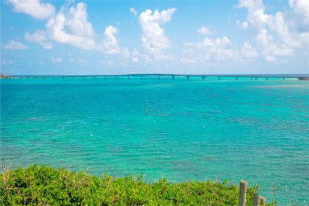 云南自考 云南自考免考 云南自考免考条件