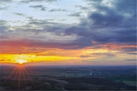 自考专升本成功后第1学历的本科还是专科?