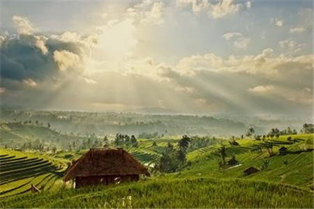 云南自考哪个学校比较好?