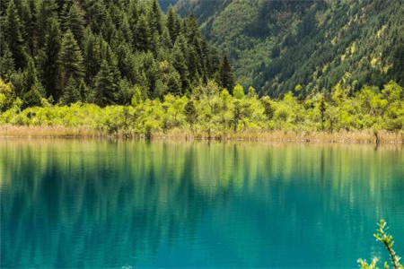 看过来!云南自考管理学原理五大通关法宝