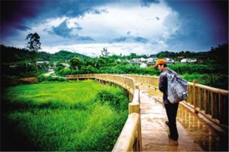 云南自考计算机专业要考哪些科目?