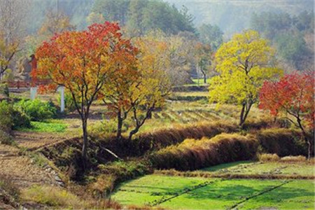 提分小攻略!云南自学考试英语阅读三大攻略