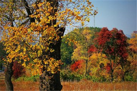 云南自考工商管理本科难吗？