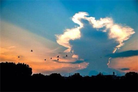 2020年云南自考黄金时段复习法，助你拿高分！