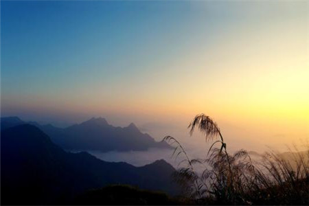 云南自考本科哪个专业好？