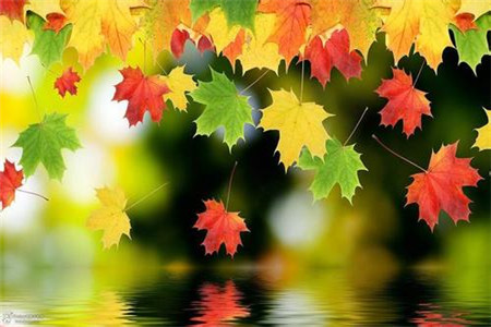 2020年4月云南自考本科在哪报名？