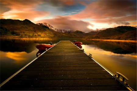 云南自考本科哪些专业就业前景比较好？