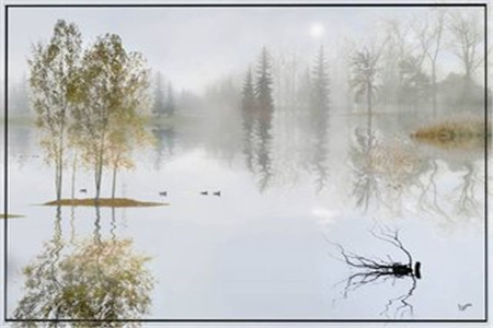 云南自考专科哪个专业简单？