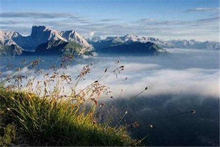 云南自考本科热门专业有哪些？