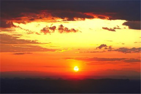 云南财经大学自考本科有哪些专业？