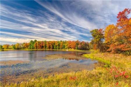 云南自考解题技巧，你值得拥有!