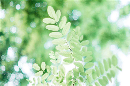 大理自考本科含金量怎么样？