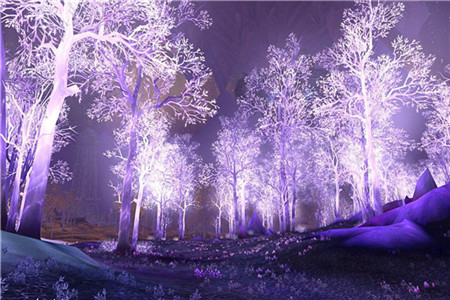 云南自学考试的报考条件有哪些？