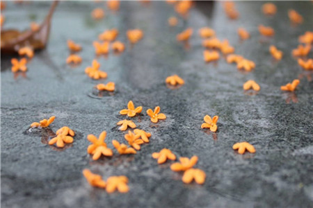 云南自考必须考学位吗？