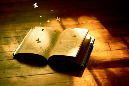 云南自考本科毕业没有取得毕业证怎么办?