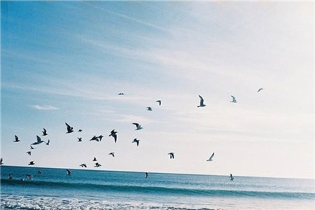 云南自考本科是专升本吗?