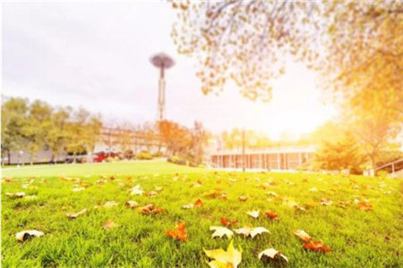 云南自考本科要求什么学历?