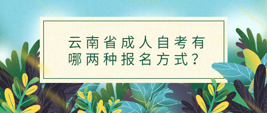 云南省成人自考有哪两种报名方式？