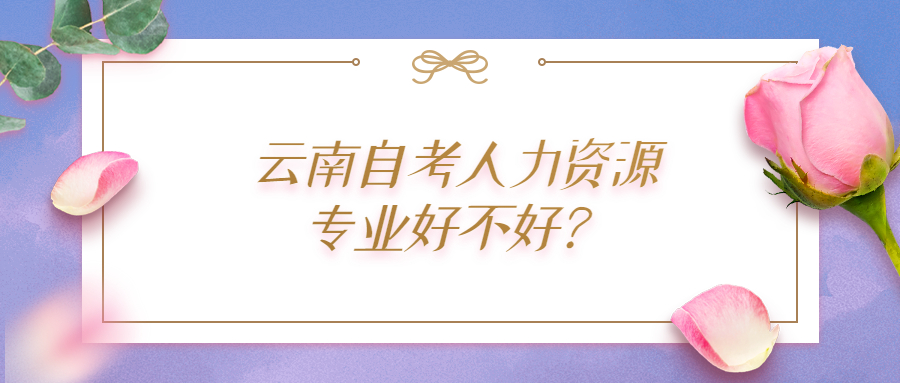 云南自考人力资源专业好不好?