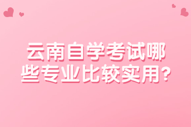 云南自学考试哪些专业比较实用?
