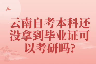 云南自考本科还没拿到毕业证可以考研吗?