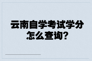 云南自学考试学分怎么查询?